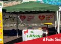 Belpasso. Giornata Mondiale del Cuore: prevenzione, salute e manovre salvavita al Parco Urbano
