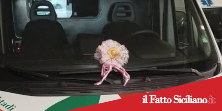 S.M.di Licodia, bimba nasce in casa: non succedeva da 60 anni