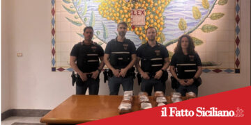 Sicilia. Maxi sequestro di droga